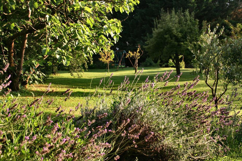 Agriturismo Poggio Salvi Sovicille Eksteriør bilde